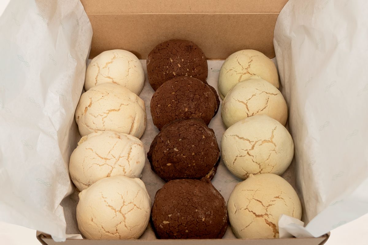 Vista de Caja de conchas 8 pzas